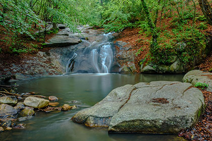 Вода из горных источников заповедника Montseny